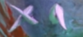 Thumbnail for version as of 14:36, 19 April 2022