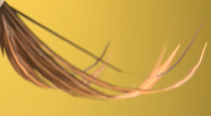 C - Feathershine.png