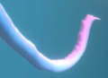 Thumbnail for version as of 17:46, 24 April 2022