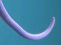 Thumbnail for version as of 17:47, 24 April 2022