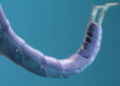 Thumbnail for version as of 17:48, 24 April 2022
