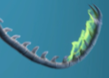 Thumbnail for version as of 17:48, 24 April 2022