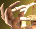 Thumbnail for version as of 18:42, 24 April 2022