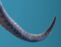 Thumbnail for version as of 17:47, 24 April 2022