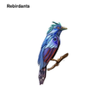 Thumbnail for version as of 15:50, 6 April 2022
