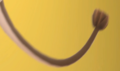 Thumbnail for version as of 18:00, 24 April 2022